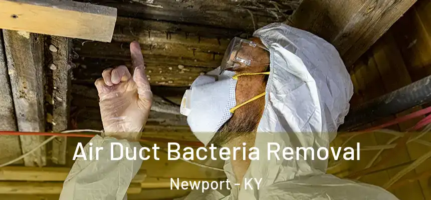  Air Duct Bacteria Removal Newport - KY