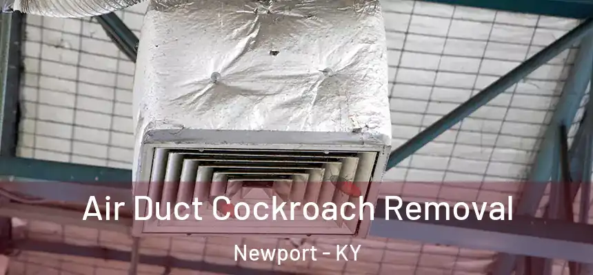 Air Duct Cockroach Removal Newport - KY