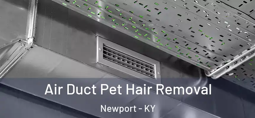 Air Duct Pet Hair Removal Newport - KY