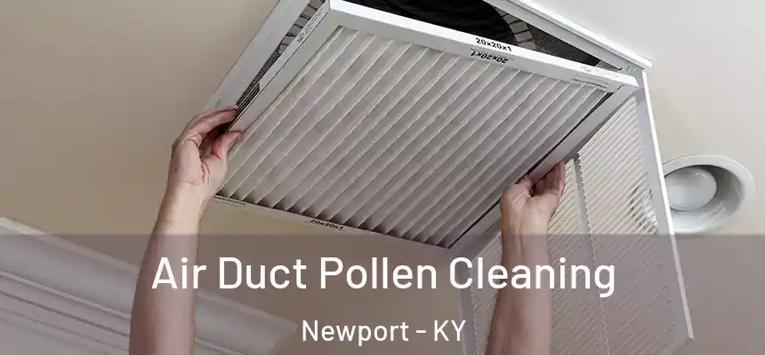  Air Duct Pollen Cleaning Newport - KY