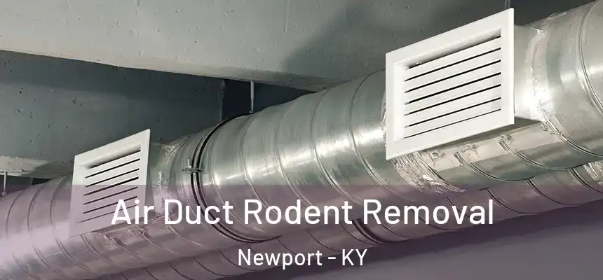 Air Duct Rodent Removal Newport - KY