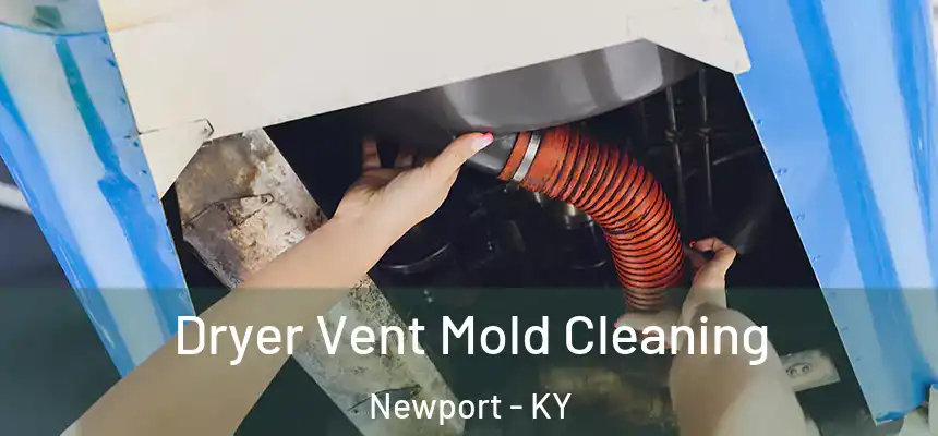 Dryer Vent Mold Cleaning Newport - KY