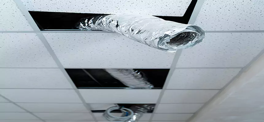 Our Air Duct Pet Hair Removal Services in Newport, KY