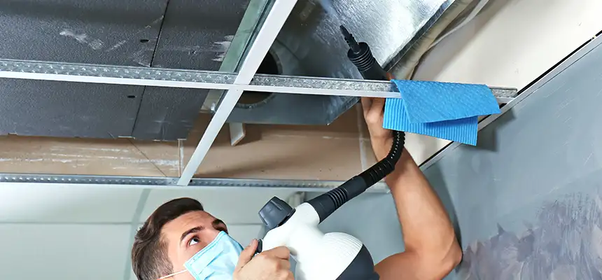 Our Air Duct Rodent Removal Services in Newport, KY