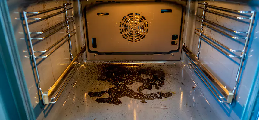 Our Dryer Vent Mold Cleaning Services in Newport, KY