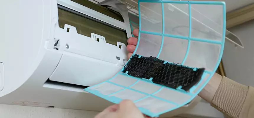 Gentle Ductwork Odor-Control Pet Dander Duct Cleaning in Newport, KY