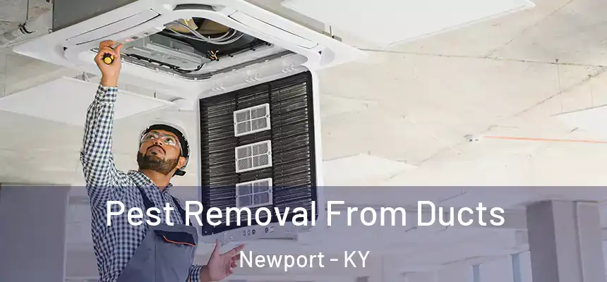 Pest Removal From Ducts Newport - KY