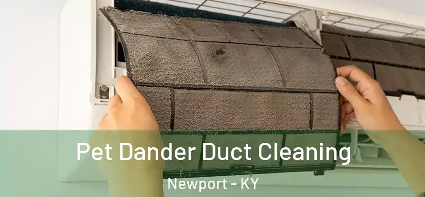 Pet Dander Duct Cleaning Newport - KY