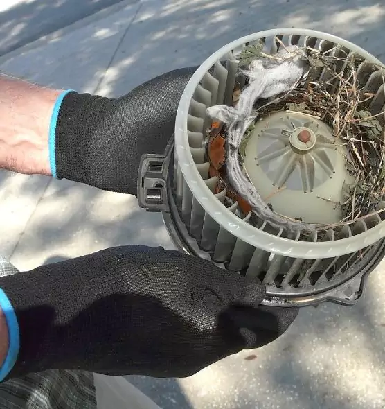 About Air Duct Mice Removal in Newport, KY