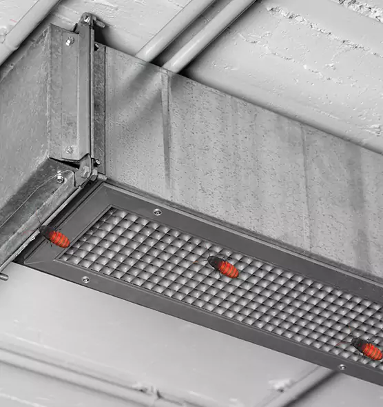 Affordable Insect Removal from Air Ducts in Newport, KY