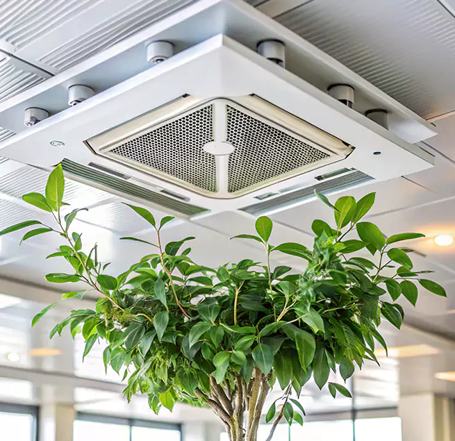 Why Homeowners & Businesses Trust Us in Newport, KY?