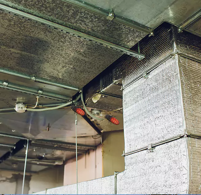 Why Homeowners & Businesses Trust Us Newport, KY?