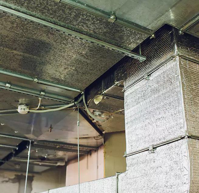 Why Homeowners & Businesses Trust Us in Newport, KY?