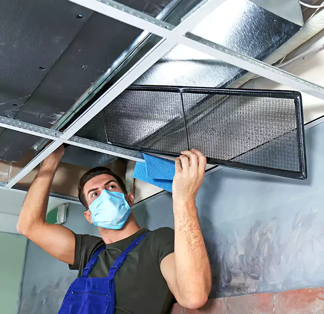 Why Homeowners Businesses Trust Us in Newport, KY